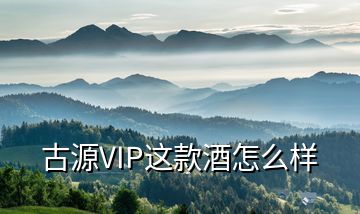 古源VIP这款酒怎么样