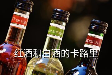 红酒和白酒的卡路里