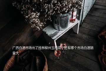 广西白酒市场出了桂林柳州玉林南宁还有哪个市场白酒销量大