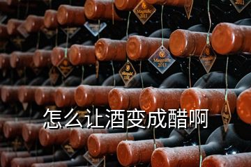 怎么让酒变成醋啊