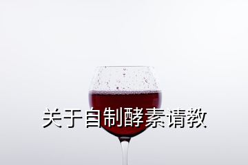 关于自制酵素请教