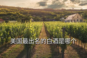 美国最出名的白酒是哪个