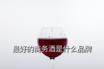 最好的商务酒是什么品牌