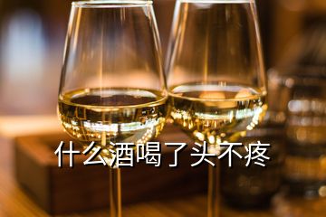 什么酒喝了头不疼