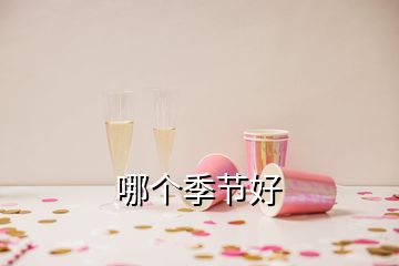 哪个季节好