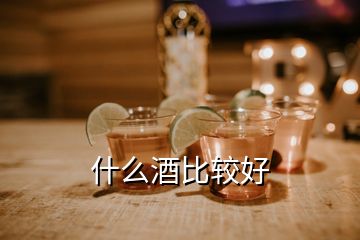 什么酒比较好