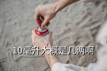 10毫升大概是几两啊