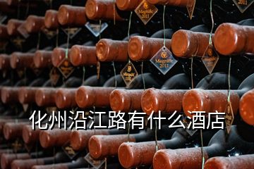 化州沿江路有什么酒店