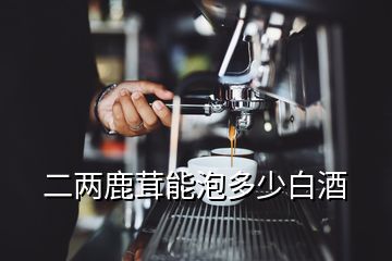 二两鹿茸能泡多少白酒