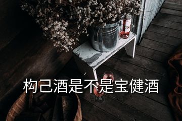 构己酒是不是宝健酒