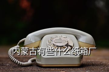 内蒙古有些什么纸箱厂