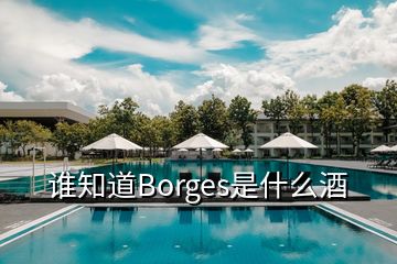 谁知道Borges是什么酒