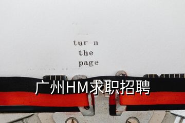 广州HM求职招聘