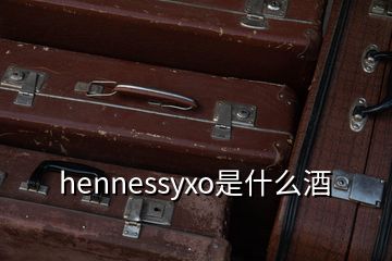 hennessyxo是什么酒