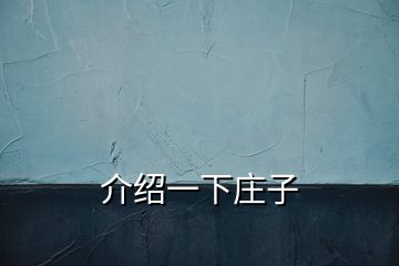 介绍一下庄子