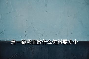 煮一碗汤面放什么佐料要多少