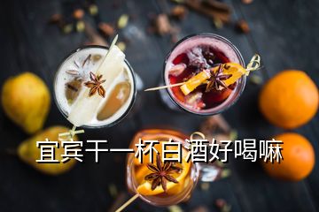 宜宾干一杯白酒好喝嘛