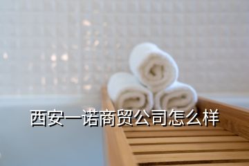 西安一诺商贸公司怎么样