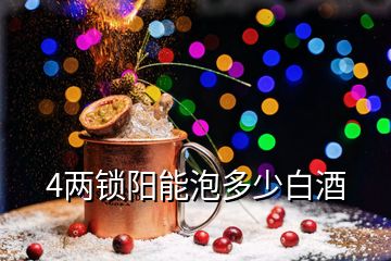 4两锁阳能泡多少白酒