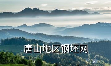 唐山地区钢坯网