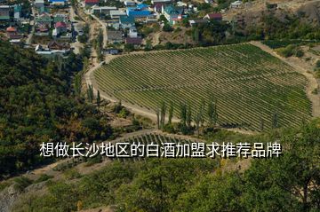 想做长沙地区的白酒加盟求推荐品牌