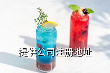 提供公司注册地址