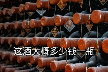 这酒大概多少钱一瓶