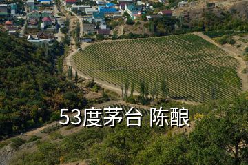 53度茅台 陈酿