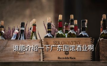 谁能介绍一下广东国馆酒业啊