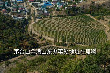 茅台白金酒山东办事处地址在哪啊