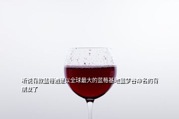 听说有款蓝莓酒是以全球最大的蓝莓基地蓝梦谷命名的有朋友了