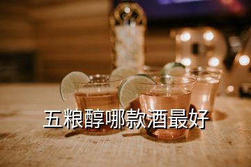 五粮醇哪款酒最好