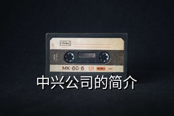 中兴公司的简介