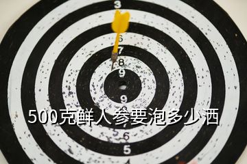 500克鲜人参要泡多少洒