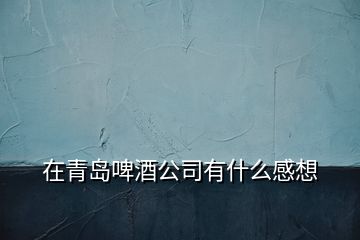 在青岛啤酒公司有什么感想