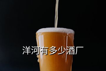 洋河有多少酒厂