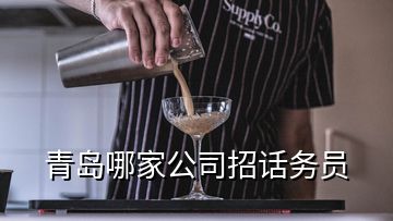 青岛哪家公司招话务员