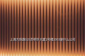 上海方斜路525弄明华大厦2号楼2003是什么公司