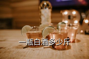 一瓶白酒多少斤