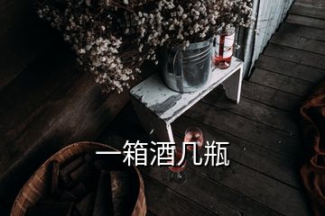 一箱酒几瓶