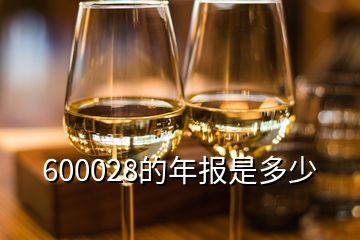 600028的年报是多少