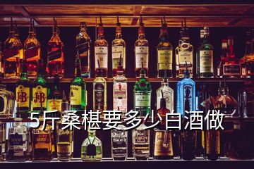 5斤桑椹要多少白酒做