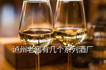 泸州老窖有几个系列酒厂