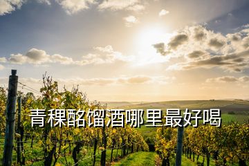 青稞酩馏酒哪里最好喝