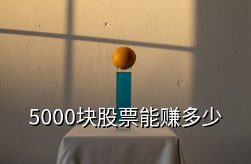 5000块股票能赚多少