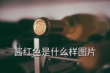 酱红色是什么样图片