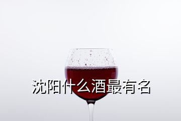 沈阳什么酒最有名