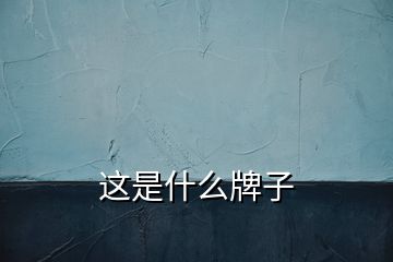 这是什么牌子