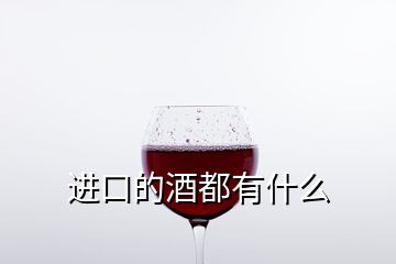 进口的酒都有什么