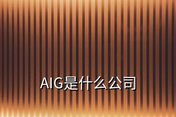 AIG是什么公司